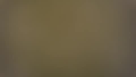 T online show from December 28, 7:55 am