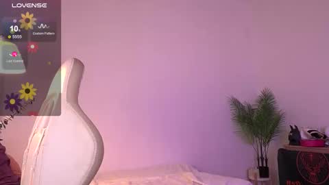 Amina online show from December 4, 10:04 am