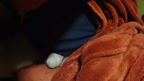 tetuo2 online show from April 11, 8:40 am