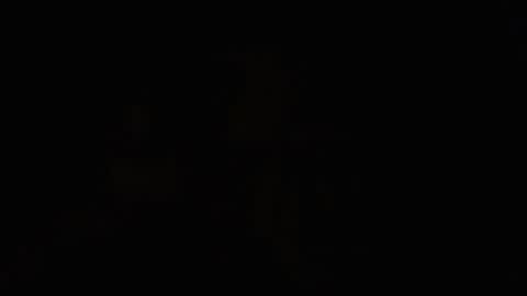 tetuo2 online show from November 4, 11:00 am