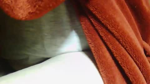 tetuo2 online show from March 29, 11:34 am