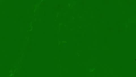 the_arctic_beaty online show from March 13, 2:37 am