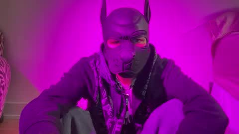 the_masked_pup online show from October 15, 3:32 am