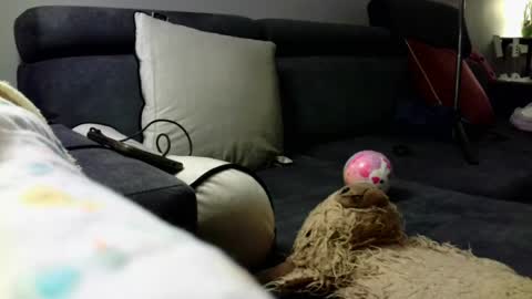 Stephan 34  Cassandra 25 online show from April 8, 9:07 pm
