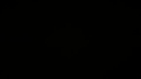 thebearx online show from April 10, 6:23 pm