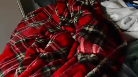 Liam online show from March 23, 8:36 pm