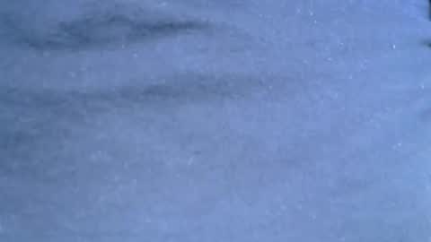 themaneb online show from December 2, 6:50 pm