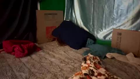 theonlyboi43ver online show from November 13, 3:20 am