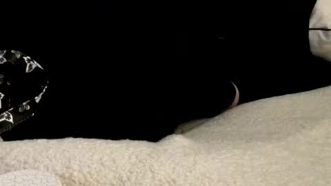 EslosLushes online show from October 21, 12:32 pm