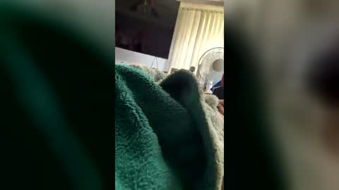 thickdick4anyone online show from July 20, 12:51 pm