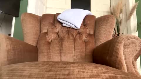 thomss123 online show from February 15, 1:10 pm