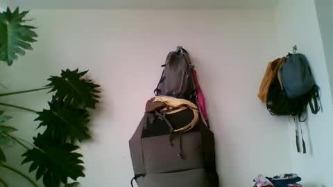 tiaretiareopui online show from October 31, 11:21 am