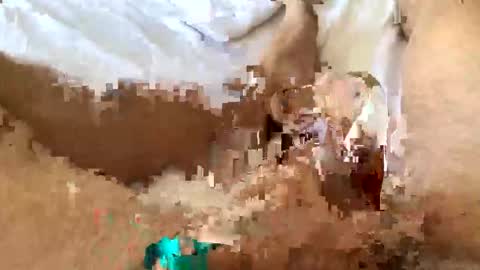 tigertail2 online show from March 12, 12:42 pm