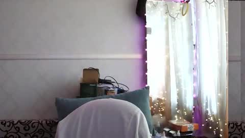 Wille online show from February 13, 7:55 am