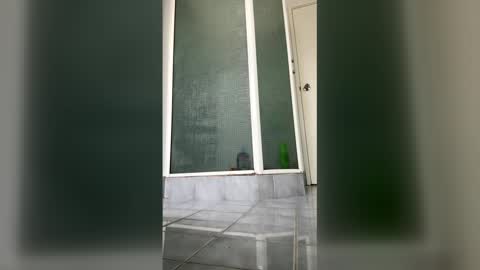 time_tub online show from April 28, 2:49 am