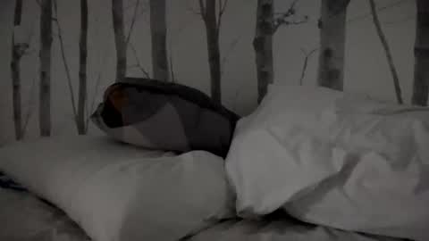 Tim online show from March 11, 8:30 am