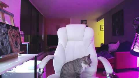 stage Kylie Sinner  brand CLITBAIT online show from October 14, 1:08 am