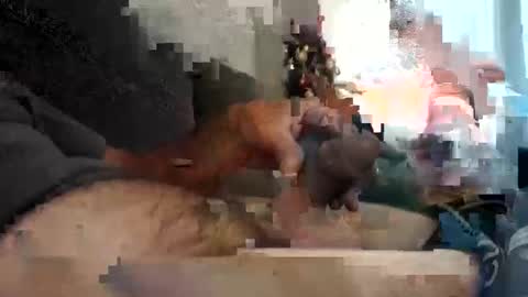 tlcdad online show from December 12, 11:28 am