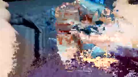 tnt8637 online show from December 3, 8:15 am