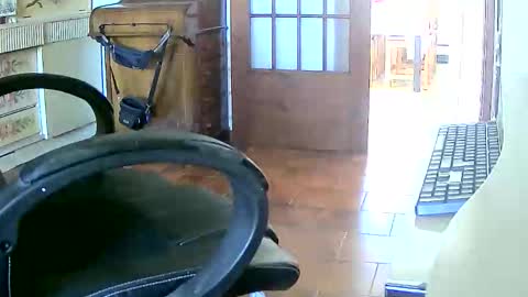 Tobiko online show from April 16, 1:33 pm