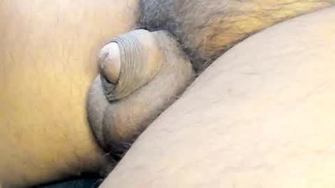 tonyisback2023 online show from March 2, 4:17 am