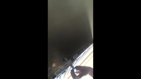 tonyswamp13 online show from March 2, 8:15 pm