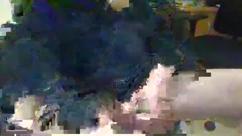 Snapshot of topcat127 chatting on March 5, 6:23 am Topcat127 online show from March 5, 6:23 am