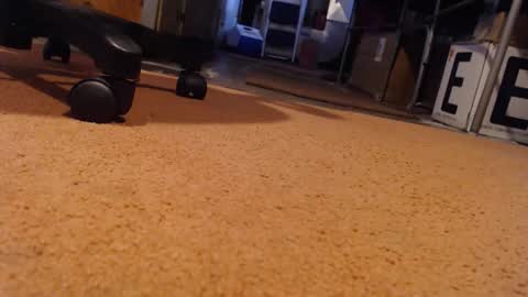 toydoc103 online show from December 13, 9:10 pm