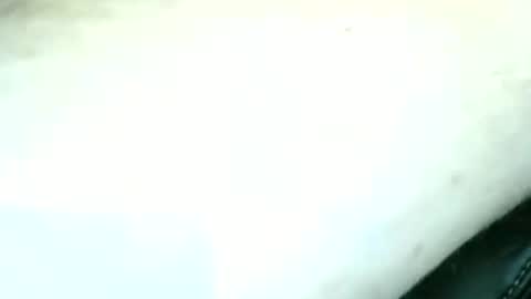 trailblazer1969 online show from September 19, 12:15 am