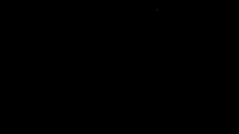 Dilly Dally online show from May 13, 1:04 am
