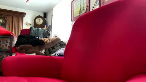 trebgeis1 online show from March 4, 11:19 am