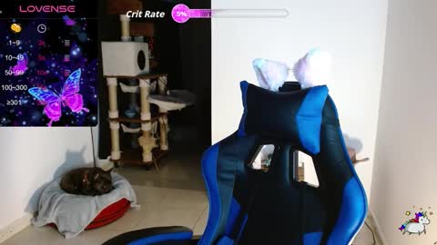 Kitty online show from February 4, 2:15 am