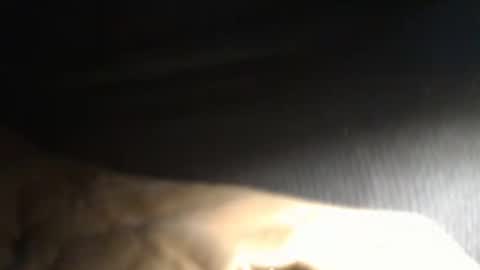 trobelle online show from February 22, 4:20 pm