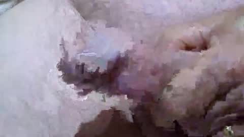 troy1965 online show from April 7, 5:31 am