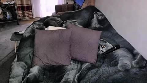 Lana online show from October 5, 3:48 am