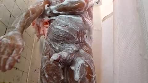 tvland1960 online show from November 17, 12:13 am