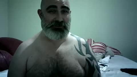 Urso1978BR online show from November 26, 6:59 pm