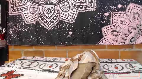 Snapshot of valeria032 chatting on October 11, 3:00 am valeria online show from October 11, 3:00 am