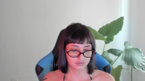 Snapshot of vandalovee chatting on September 11, 6:31 pm Babi Alu online show from September 11, 6:31 pm