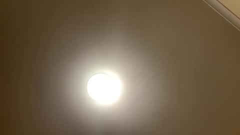 vanili_ online show from December 5, 11:55 am