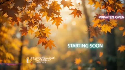 Snapshot of vegas_romance chatting on September 28, 2:31 am vegas_romance online show from September 28, 2:31 am