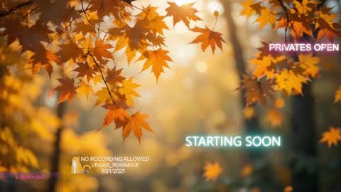 Snapshot of vegas_romance chatting on September 21, 11:53 pm vegas_romance online show from September 21, 11:53 pm
