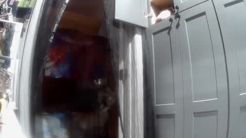 vegasmd online show from September 24, 8:21 am