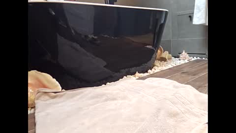 Veined lollypop online show from November 2, 9:20 am