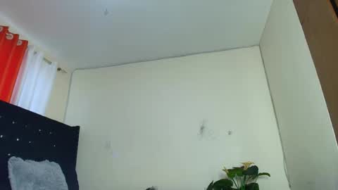 zola online show from October 27, 4:01 am