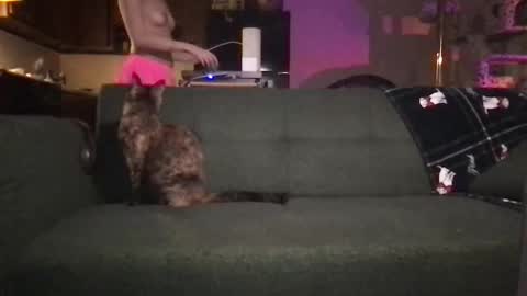 venustheflytrap online show from February 27, 3:32 am