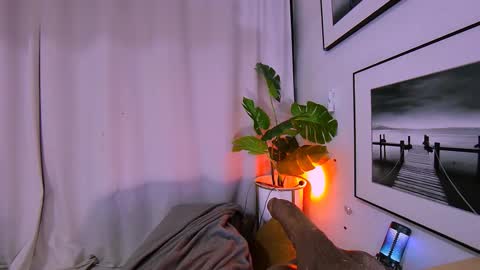 veronica online show from February 15, 6:04 am