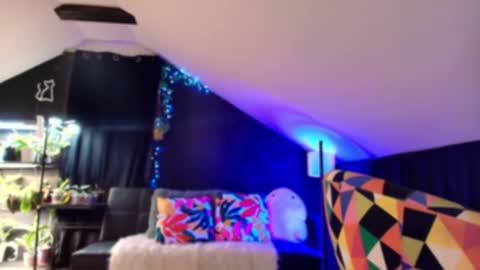 vevelicious online show from November 19, 7:51 am