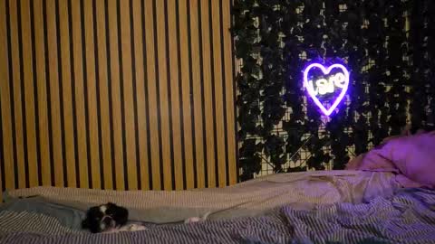 victoriarim online show from February 18, 6:13 am