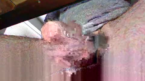 Viking0066 online show from March 2, 4:42 pm